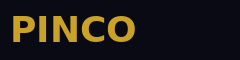 Логотип Pinco Casino